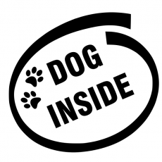 Dog inside